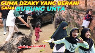 KE 5 ANAK INI CUMA DZAKY YANG BERANI SAMA BURUNG UNTA