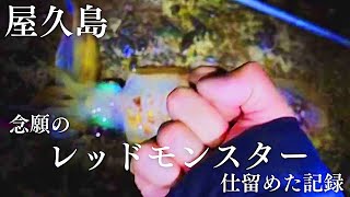 【屋久島釣り生活】#7 神回！屋久島で目標にしていた2キロ超えレッドモンスターを仕留めた記録…