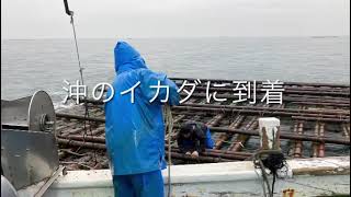 【行橋市】カキ水揚げ体験【次世代とともに】行橋市議会議員 工藤政宏