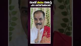 కలలో పాము కనిపిస్తే ఎం జరుగుతుంది || Dharma dhwani