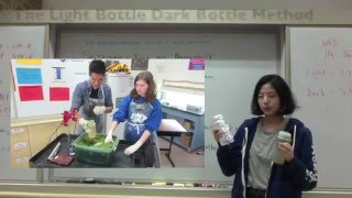 Light Bottle/Dark Bottle