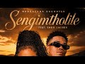 Sengimtholile (Nkosazana Daughter feat Endo Amzeen)official audio 