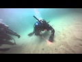 Redondo Beach Dive