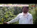 vizag excise officers special drive in vizag agency area destroys ganja crop l cvr news