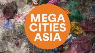 Megacities Asia at MFA Boston