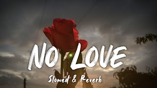 NO Love | Slowed + Reverb | Shubh