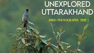 Unexplored Uttarakhand: Winter Bird Photography Trip to a small village (Part 1)