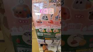 全モルカー揃うまで終われま5(+1🥕)#ガチャガチャ #ガチャ動画