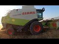 CLAAS LEXION 530 αλωνιζει κριθάρι #farming #claas #agro #harvest #farmers #agriculture #agri #barley