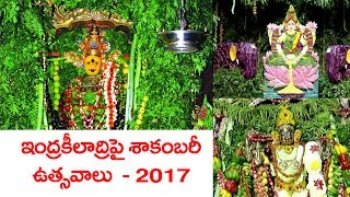 ఇంద్రకీలాద్రిపై వైభవంగా ప్రారంభమైన శాకంబరీ ఉత్సవాలు - 2017