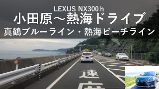 【ドライブ】小田原から熱海を目指して 国道135号～真鶴ブルーライン～熱海ビーチライン【レクサスNX】