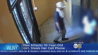 Bronx Girl Beaten For Cellphone