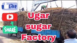 Ugar Sugar Cane Factory👌