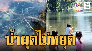 น้ำผุดประหลาด ผุดจนท่วมบ้าน-ถนนขาด | ข่าวอรุณอมรินทร์ | 13/11/67