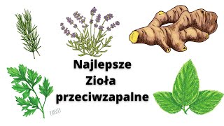 Najlepsze zioła przeciwzapalne - Na stawy, migreny oraz stany zapalne skóry