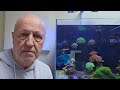 Warning! Reefkeeping Stress Can Age You! The Prestige Reef Dork Show Ep 66