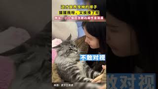 你這個小貓咪怎麼敢和母老虎發脾氣啊 #cat #动物 #搞笑 #有趣的动物 #pets #小动物 #animals #動物世界 #cute #cat #抖音