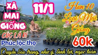 🍀11/1☎️0357003719-Trang👉xã mai giống chi 60k,hơn 10 loại giống đang sưu tầm