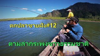 ตกปลาชายฝั่ง#12 ตามล่าหากระพงขาวธรรมชาติ Fishing at the coast#12