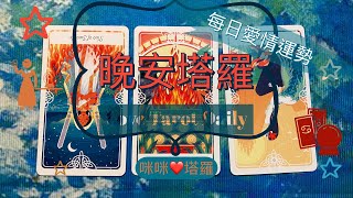 晚安塔羅⭐️ 星座每日愛情運勢⭐️咪咪❤️塔羅 Love Tarot Daily⭐️next 24 hr