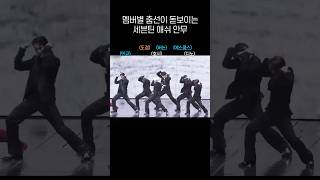 SEVENTEEN Members' Dance Lines in Ash Choreography