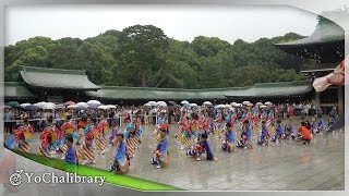 【4K】いなん（原宿スーパーよさこい'15 明治神宮奉納演舞）