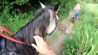 Cabalgando en Villalba PR con Hacienda La Tardanza #elcaballoyelcaballista