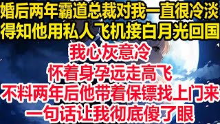 嫁给霸道总裁两年 他一直对我很冷淡，后来他用私人飞机接白月光回国的消息霸占热搜后，我心灰意冷 怀着身孕远走高飞，不料两年后他带着保镖找上门来，一句话让我彻底傻了眼！