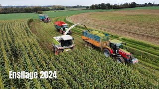 Ensilage de maïs 2024