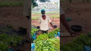 Pittala organic farm🌱👩‍🌾🥗🥬@SVRORGANICS #vegetables #agriculture #farming #organic #savesoil