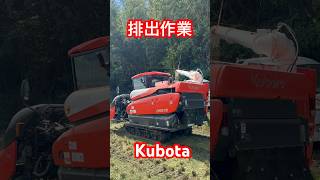 Kubota DR575クボタの5条75馬力コンバインで刈り取りSTAR🏃