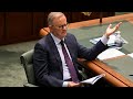 Opposition ‘targeted’ Anthony Albanese in Question Time