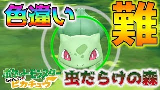 【ポケモン 】＃10  ピカブイ☆色違い御三家探しに二日目フシギダネから!!!!!色違いヒトカゲGET済！【Let's Go! ピカチュウ/イーブイ】