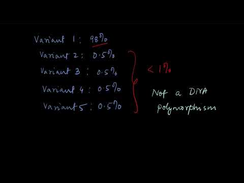 Are humans polymorphic?