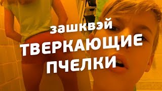 ТВЕРКАЮЩИЕ ПЧЕЛКИ 🐝🐝🎵