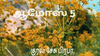 ஆமோஸ் 5/விவிலியம் அறிவோம்/BIBLE IN TAMIL/BOOK OF THE AMOS 5/குரல்:பிரபா