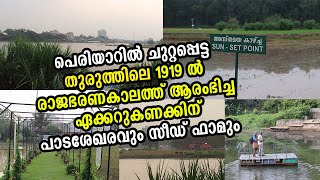 പെരിയാറിന് നടുവിലെ തുരുത്തിലെ കാർഷിക കാഴ്ചകൾ Kerala seed farm Aluva || Periyar River Island Farming