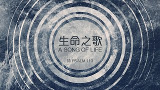 611主日講道｜《生命樹核心系列1》生命之歌 / 張恩年牧師｜2020.07.05