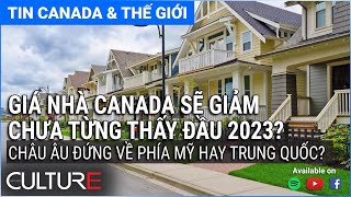🔴TIN CANADA & TG 30/08 | Thái Lan, Việt Nam tăng giá gạo; Bầu cử Quebec