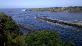 Tsunami's 2nd wave in Noyo River Fort Bragg, Cali Otsuchi, Japan's sister city.