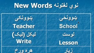 200 Basic Pashto to English Vocabulary  | English to Pashto