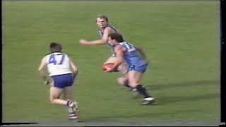 1987 Round 9 Sturt 22.17 149 d Central 15.8 98