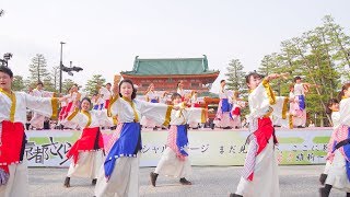 [4K] チーム鬼灯　京都さくらよさこい 2018 神宮道スペシャルステージ(中央)