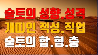 술토의성정, 술토의성격, 진술충있는사주, 운에서술토를 만나면?