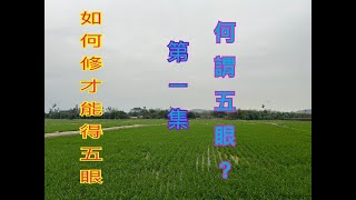 礁溪照光寺-林文保老師主講何謂五眼?