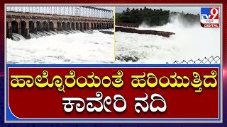 KRS Dam ಗೇಟ್ ಬಳಿ ರುದ್ರ ರಮಣೀಯ ದೃಶ್ಯ..! | Tv9 Kannada