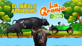 EL JUEGO DEL BÚFALO Y EL TORO PERSIGUIENDO AL AUTO BOCHINCHERO