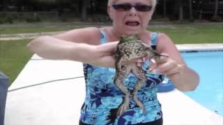 Frog Sounds Astoundingly Like Cat