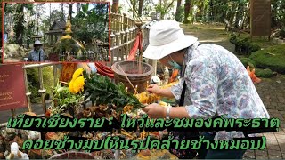 เที่ยวเชียงราย : ไหว้และชมองค์พระธาตุดอยช้างมูบ (หินรูปคล้ายช้างหมอบ) @sansonyoutube