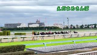 2022.11.20 阪神競馬場 12R 姫路ステークス